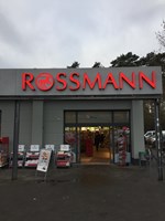 Rossmann am Mossfenn Potsdam